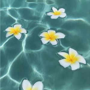 Meet your Posher, Charlotte